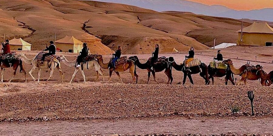 Marrakech: Agafay Desert Camel Rides, Dinner and Fire Show - Guides and drivers, the human part that makes or breaks the day