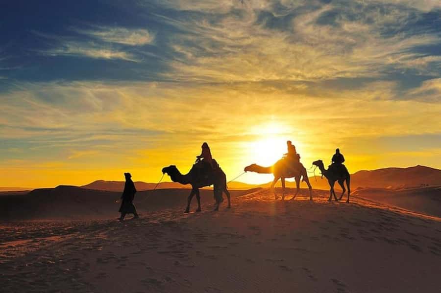 Marrakech: Agafay Desert Dinner and Sunset Camel Ride Trip - Key things that make this trip work