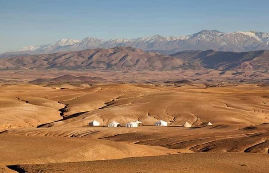 Marrakech: Agafay Desert Dinner and Sunset Camel Ride Trip - Price and value: is $45 a fair deal for what you get?