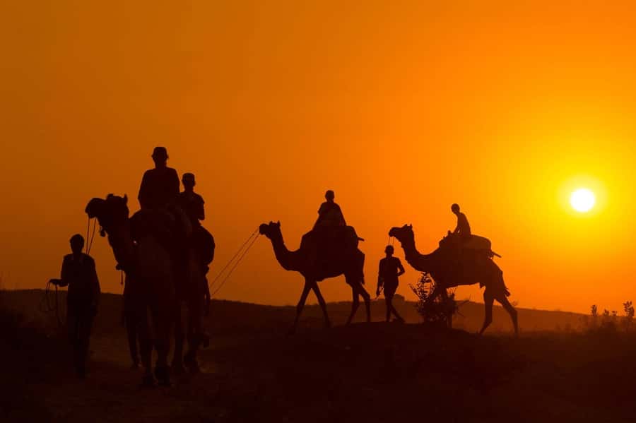 Marrakech: Agafay Desert Dinner, Camel Ride, and Music Show - Key Highlights to Know Before You Go
