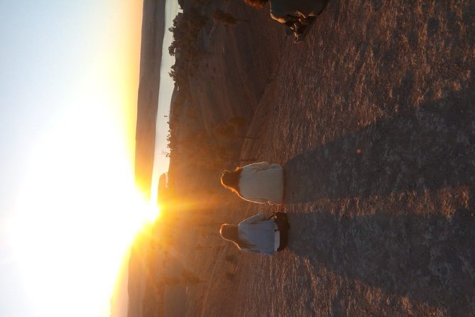 Marrakech: Agafay Desert Dinner, Camel Ride & Quad Biking. - Price and Value: Getting Dinner Plus Two Rides for About $19.77