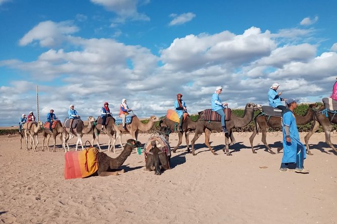 Marrakech: Agafay Desert Dinner, Camel Ride & Quad Biking. - Camel Ride at Sunset, Plus Quad Biking That Actually Feels Safe