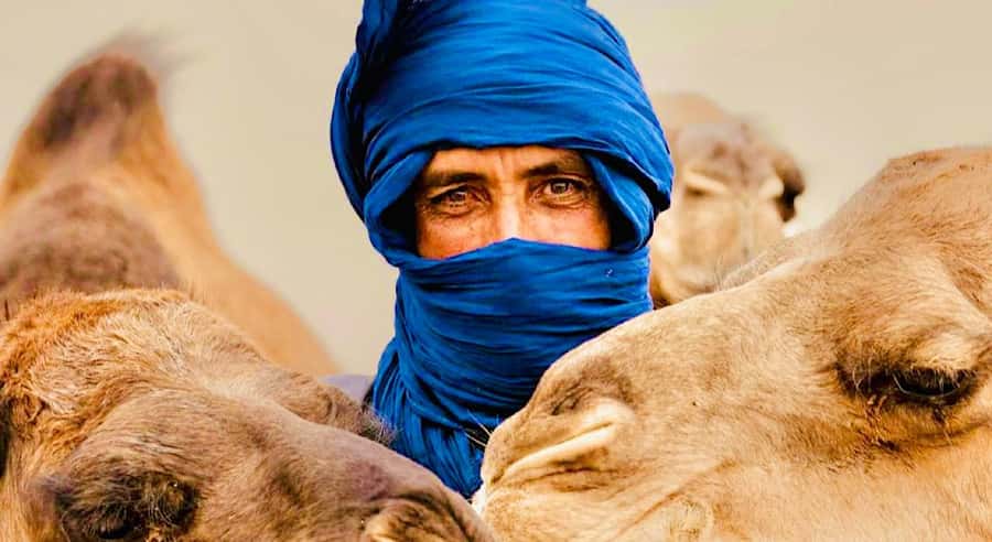 Marrakech: Agafay Desert Dinner, Camel Ride, & Show - How the Agafay Sunset Camel Ride Works