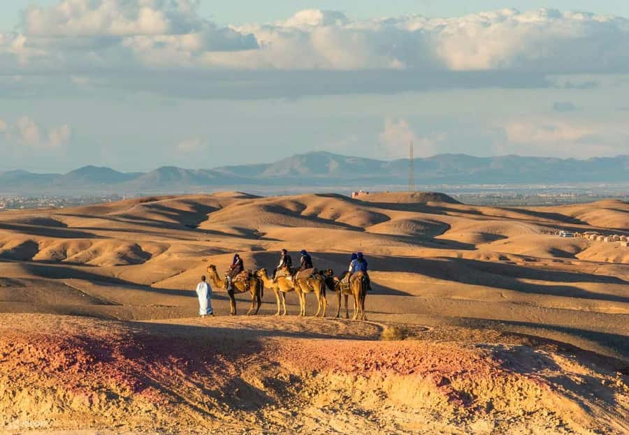 Marrakech: Agafay Desert Dinner Show with Quad Bike & Camel - Tea, Tunes, And Why The Guide Makes Or Breaks It