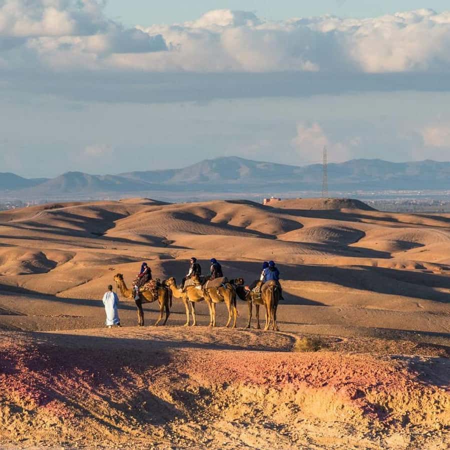 Marrakech: Agafay Desert Dinner Show with Sunset Camel Ride - Campfire Arrival, Moroccan Tea, and Live Music Before Dinner
