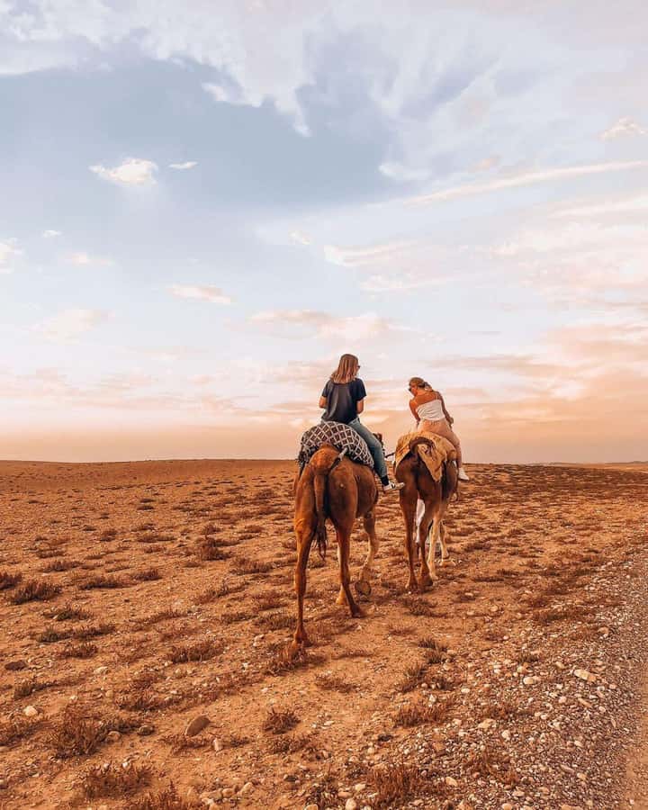 Marrakech: Agafay Desert Escape with Quad or Camel Ride - Safety and speed: why the rules are there (and still why it’s fun)