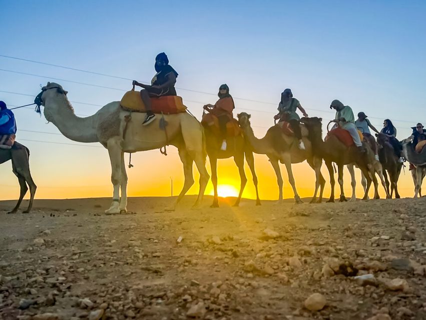 Marrakech: Agafay Desert Escape with Quad or Camel Ride - The pool at camp: the smart reset before dinner