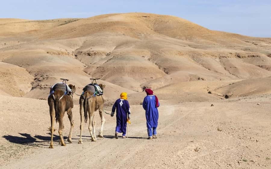 Marrakech: Agafay Desert, Lunch, Camel Ride, & Swimming Pool - Price and Value: Why $40 Can Feel Fair (And Where It Can Surprise You)