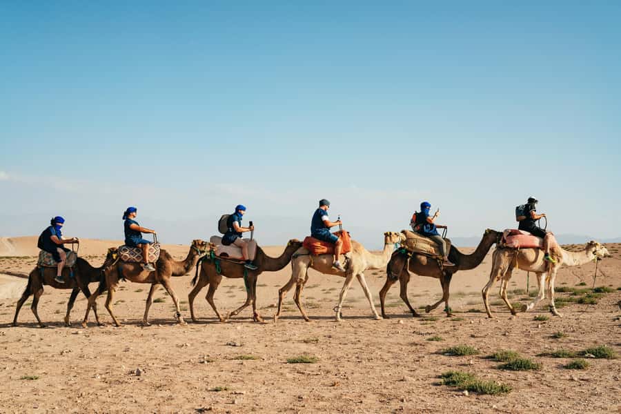 Marrakech: Agafay Desert Pool, Dinner & Live Show Experience - Should you book this Agafay desert pool and dinner show?