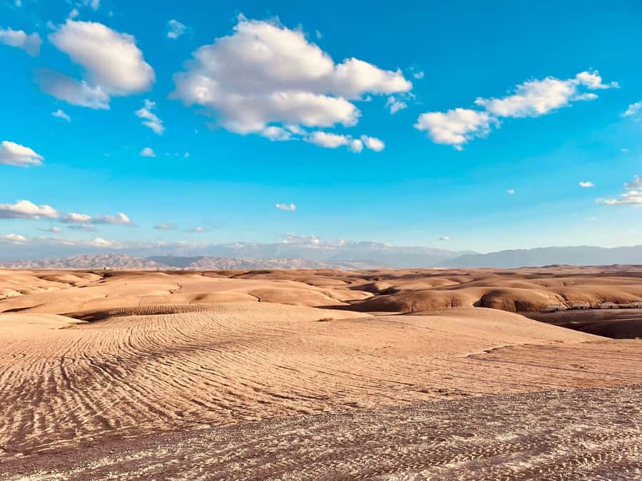Marrakech: Agafay Desert Quad Bike Tour with Moroccan Tea - Key Highlights at a Glance
