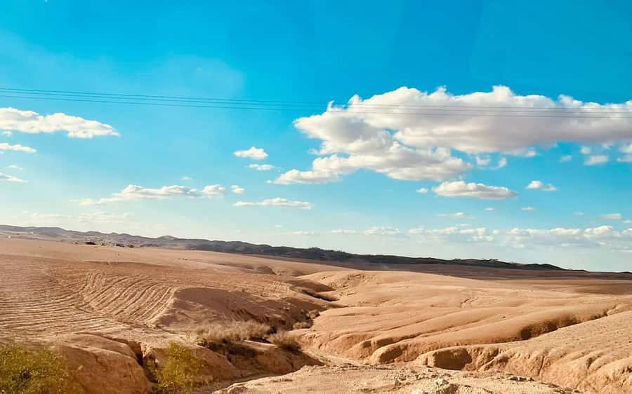 Marrakech: Agafay Desert Quad Bike Tour with Moroccan Tea - Who Should Book, Who Should Skip