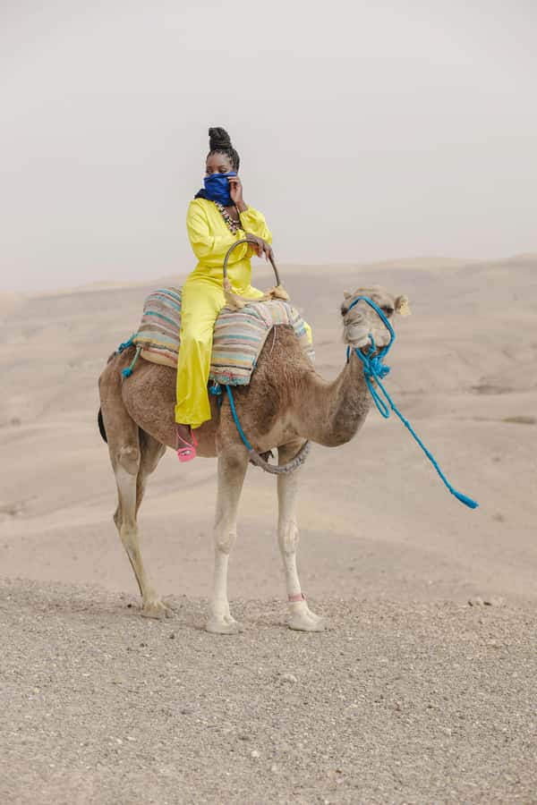Marrakech: Agafay Desert Quad Bike with Camels & Dinner Show - Dinner in a Bedouin tent: chicken or vegetarian, shared dishes