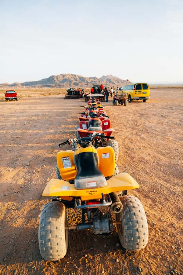 Marrakech: Agafay Desert Quad Bike with Camels & Dinner Show - Pickup to the drive out: how the timing works