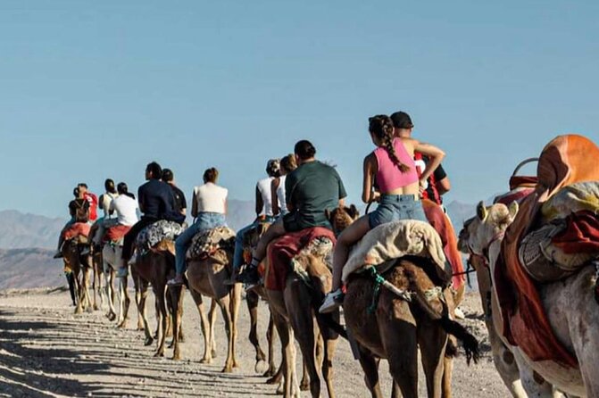 Marrakech: Agafay Desert Quad Biking & Camel Trek & Dinner & Show - Value at About $45: What You Actually Get for the Money