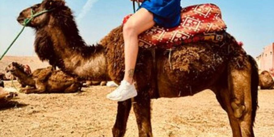 Marrakech: Agafay Desert Quad Biking with Dinner Show - Dinner at Sous les étoiles camp: Moroccan comfort food plus full-on performances