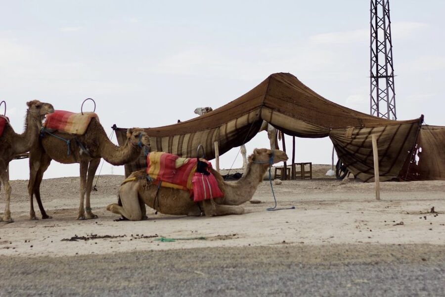 Marrakech: Agafay Desert Quad, Camel or Pool Day with Lunch - Camel ride: the slower moment that helps the day feel rounded