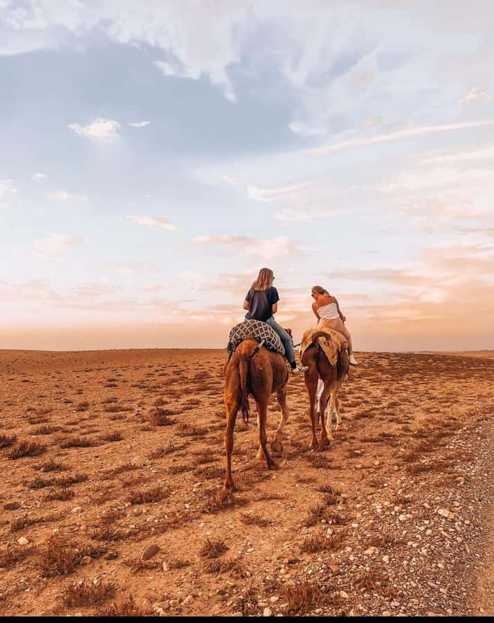Marrakech: Agafay Desert Quad, Camel Ride & Dinner Show - Camel Ride at Sunset: The Short, Peaceful Reset You Will Appreciate