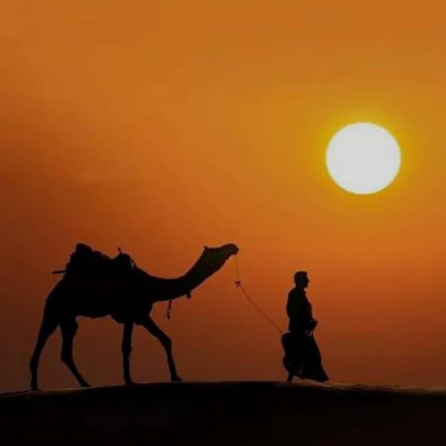 Marrakech: Agafay Desert Quad & Camel Rides with Dinner Show - Key Points Before You Go