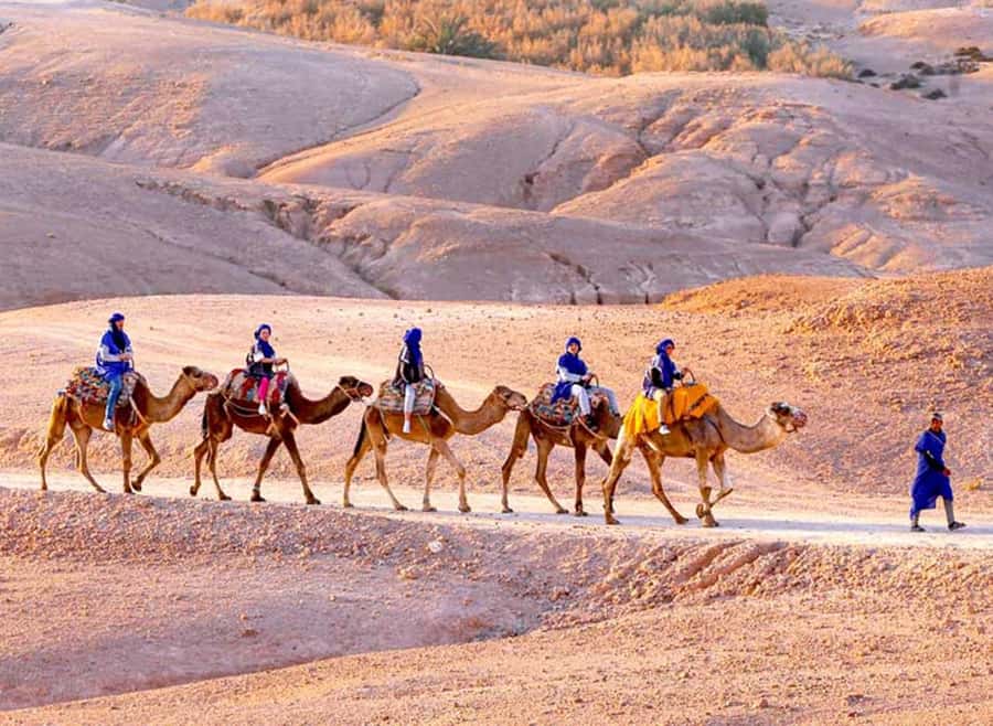Marrakech: Agafay Desert Quad & Camel Rides with Dinner Show - Agafay Desert Quad and Camel, Where the Views Come Fast