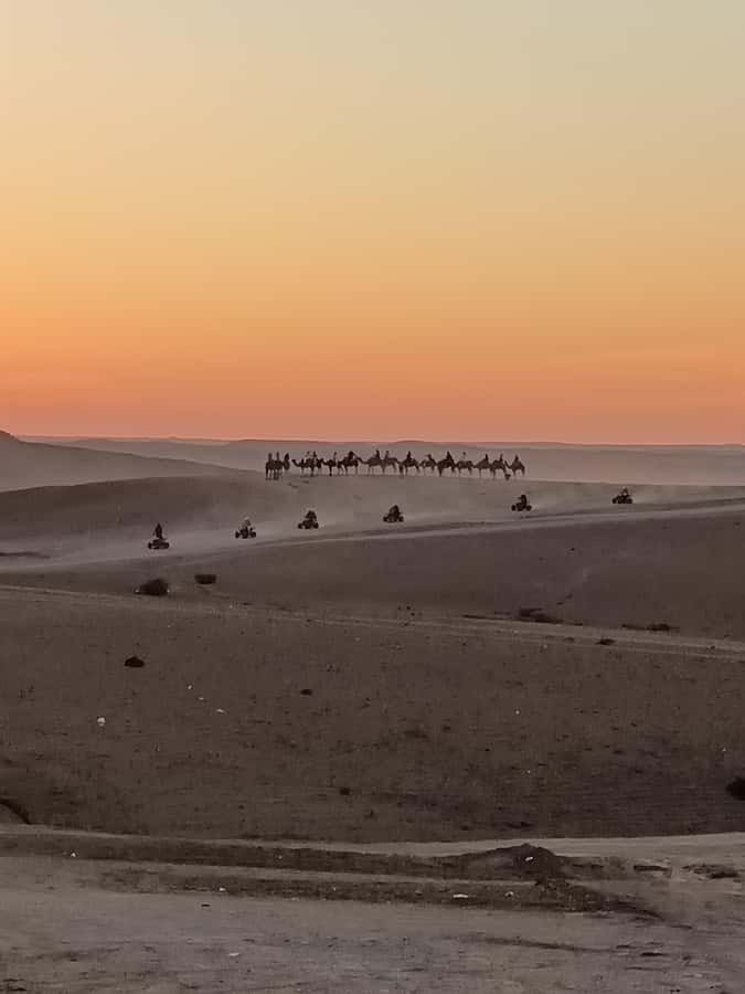 Marrakech: Agafay Desert Quad & Camel Rides with Dinner Show - Sunset Camel Trek and the Camp Rhythm You Should Know