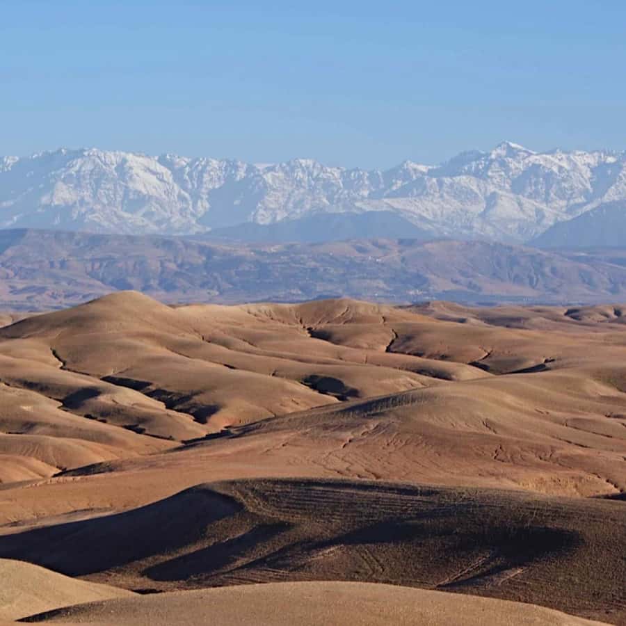 Marrakech: Agafay Desert Quad & Camel Rides with Dinner Show - Quad Biking Across Agafay: Adrenaline, Guidance, and Dust