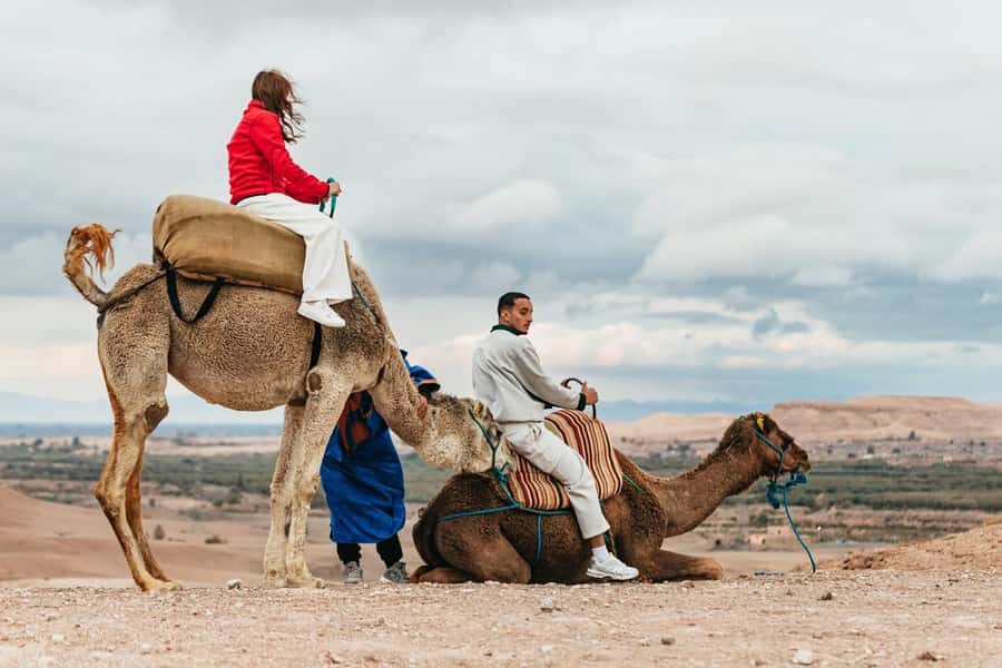 Marrakech: Agafay Desert Retreat, Tent, Dinner, Show & Pool - Pools with Atlas views: the downtime many people forget to plan for