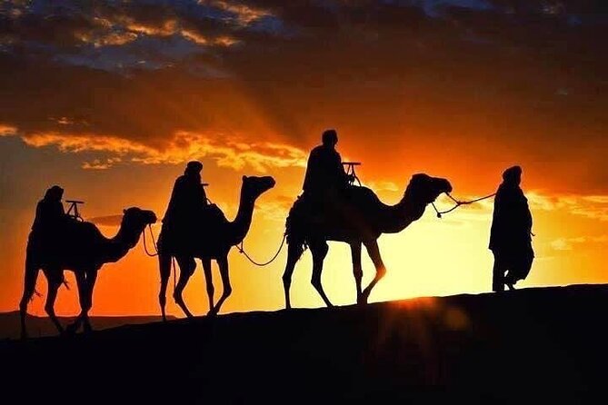 Marrakech: Agafay Desert Sunset, Camel Ride, and Dinner Show - Getting There From Marrakech, Without Losing the Night
