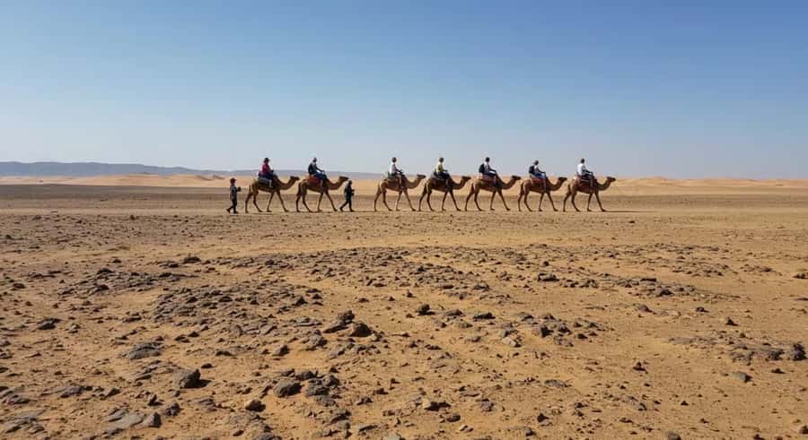 Marrakech: Agafay Desert Sunset, Camel Ride, and Dinner Show - Price, Value, and Who This Tour Fits Best