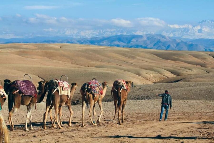 Marrakech: Agafay Desert Sunset, Camel Ride, Dinner and Show - Key highlights at a glance