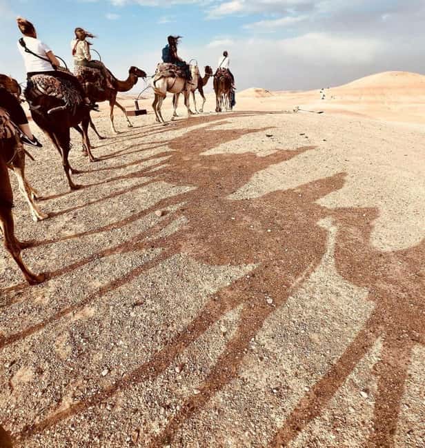 Marrakech: Agafay Desert Sunset, Camel Ride, Dinner and Show - Transportation comfort, what to bring, and small planning tips