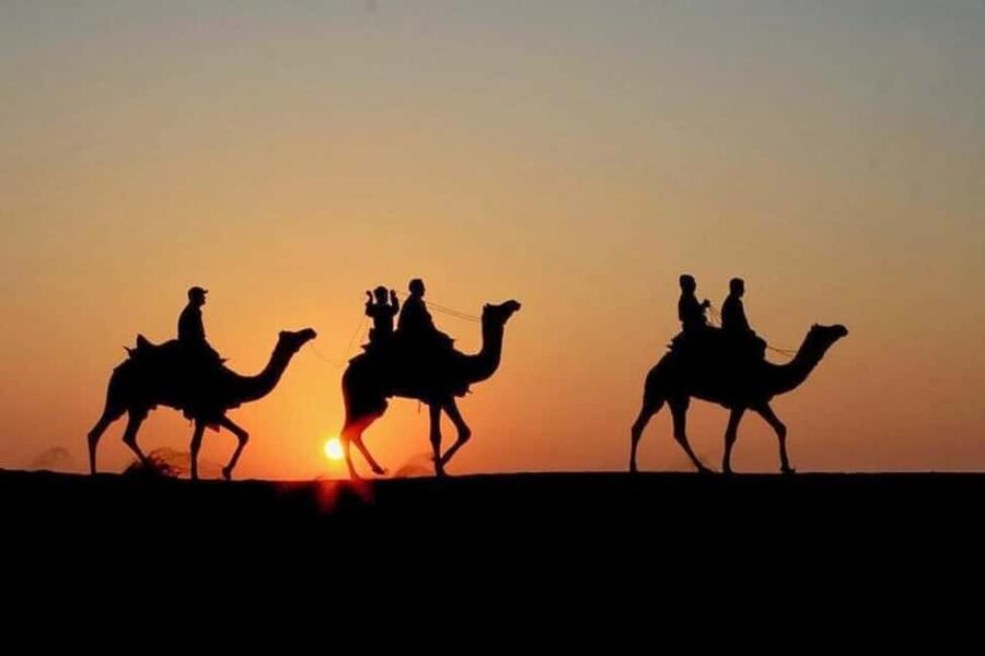 Marrakech: Agafay Desert Sunset, Camel Ride, Dinner and Show - Dinner under the stars, what you get and how it is served