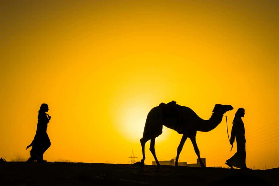 Marrakech : Agafay Desert Sunset Camel Ride & Luxury Dinner - Key Things That Make This Agafay Evening Feel Special