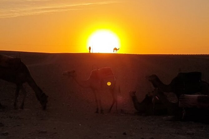 Marrakech: Agafay Desert Tour with Quad, Camel Ride & Dinner - When guides like Youssef and Abdou raise the fun level