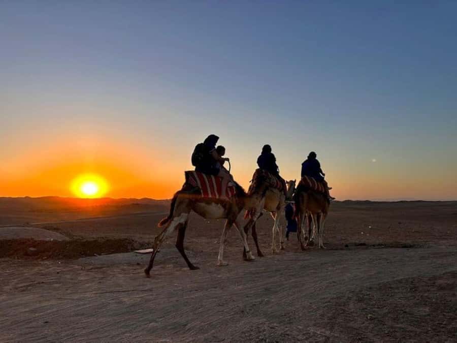 Marrakech: Agafay Desert Trip with Activities and Dinner - The Fire Show Finale, Where the Night Turns Into a Memory