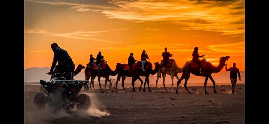 Marrakech: Agafay Dinner Show, Camel Ride, Quad, or Buggy - Value check: why around $35 can make sense