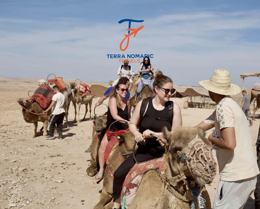 Marrakech: Agafay Dinner Show with Quad/Camel Ride and Pool - Small logistics that make your night easier