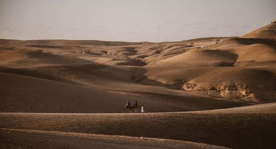 Marrakech: Agafay Ds Sunset with Dinner, Show & Tuareg Music - Dinner Under the Stars, with Berber and Arabian Flavors