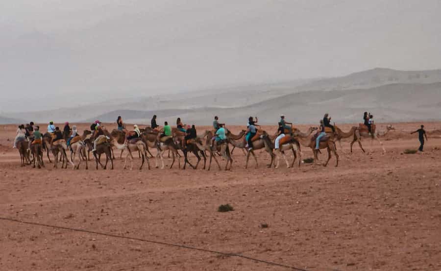 Marrakech: Agafay Ds Sunset with Dinner, Show & Tuareg Music - Price and Value: Is $39 per Person a Good Deal?