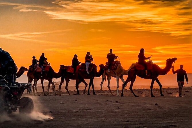 Marrakech Agfay Desert Camel Ride and Dinner Show - Price and Value: What $34.31 Really Buys You