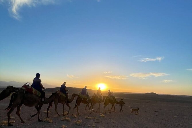 Marrakech Amazing Dinner Show in Agafay Desert, Sunset Camel Ride - Marrakech to Agafay by 4:00 pm, so the night still feels yours