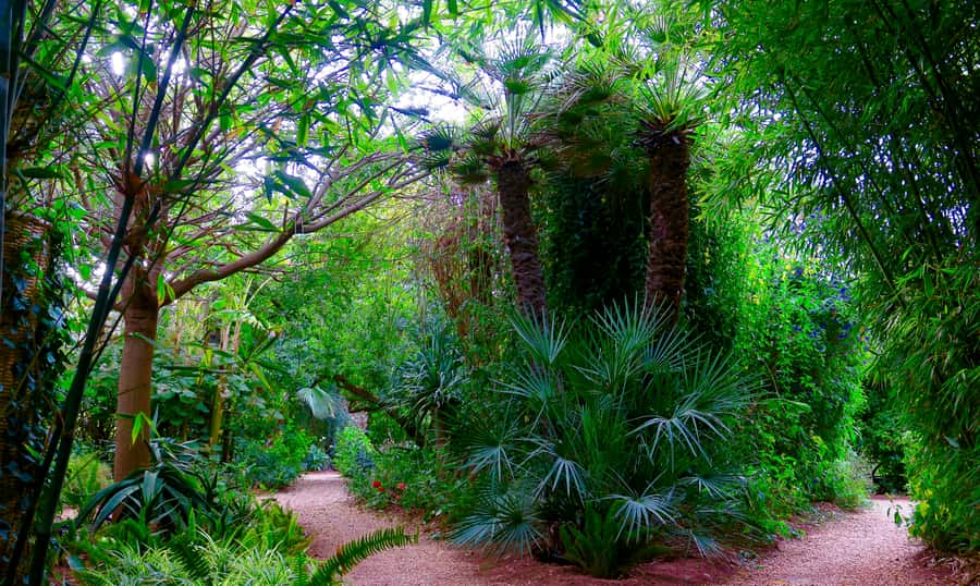 Marrakech: André Heller's ANIMA Garden Ticket - Who Should Book ANIMA, and Who Might Skip It