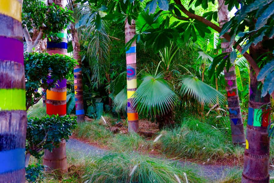 Marrakech: André Heller's ANIMA Garden Ticket - Food and Breaks: Smoothies, Lemonade, and Atlas Views