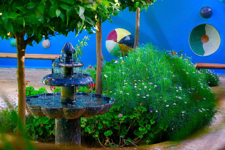 Marrakech: André Heller's ANIMA Garden Ticket - Getting There Without Stress: Shuttle, Public Bus, and Exact Directions
