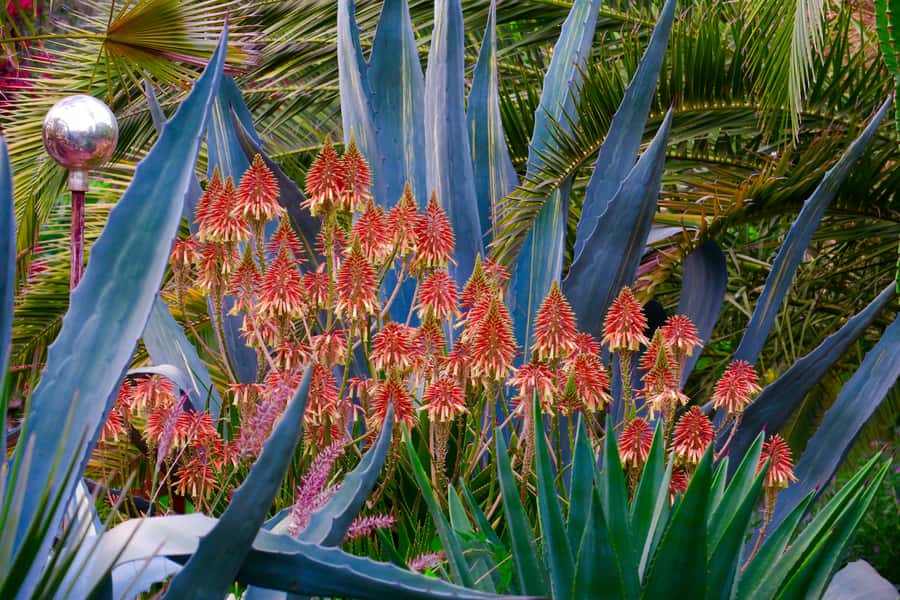 Marrakech: André Heller's ANIMA Garden Ticket - Timing That Works: How Long You Should Plan for