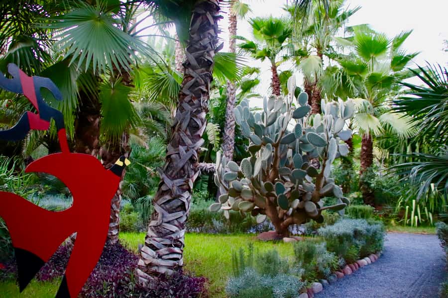 Marrakech: André Heller's ANIMA Garden Ticket - Price and Value: Why This $16 Ticket Often Makes Sense