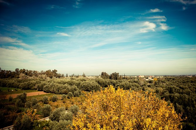 Marrakech Atlas day trip - Lunch in a Berber Home: More Than Tagine and Views