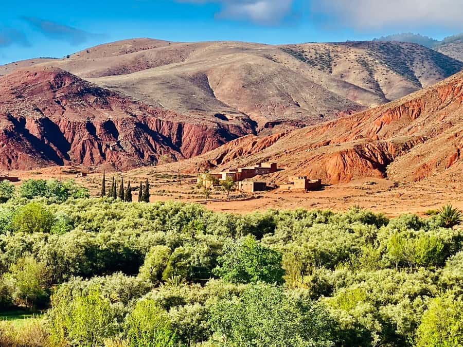 Marrakech: Atlas Mountain, Berber Villages, & Valleys Tour - Imlil Valley: where your mountain guide takes over