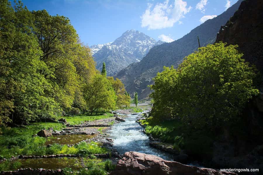 Marrakech: Atlas Mountains & Agafay Desert Tour w Camel Ride - Imlil valley tea, waterfalls, and the Berber village walk
