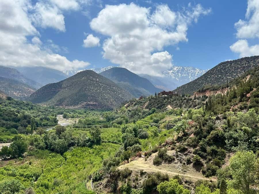 Marrakech: Atlas Mountains, Agafay Desert, Waterfall & Lunch - A Full Day Outside Marrakech, Built for Variety (8 Hours)