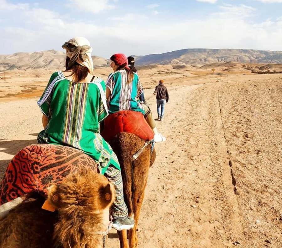 Marrakech: Atlas Mountains, Agafay Desert, Waterfall & Lunch - Leaving Marrakech: The 09:00 Pickup and How the Day Flows